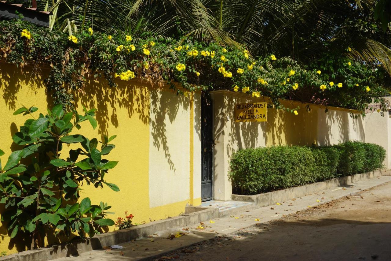 B & B Villa Calliandra Bijilo Экстерьер фото